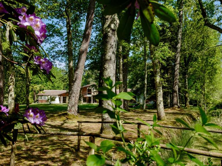 Maison Saint-Paul-lès-Dax - 6 chambres - 350m²