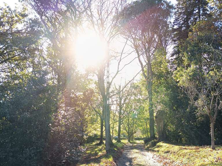 House Saint-Pée-sur-Nivelle - 9 bedrooms - 420m²