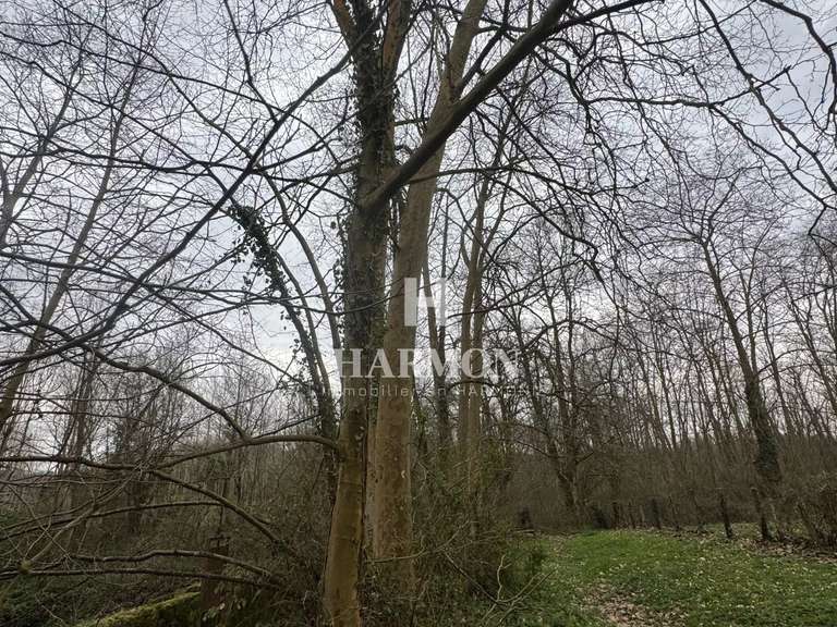 House Saint-Pée-sur-Nivelle