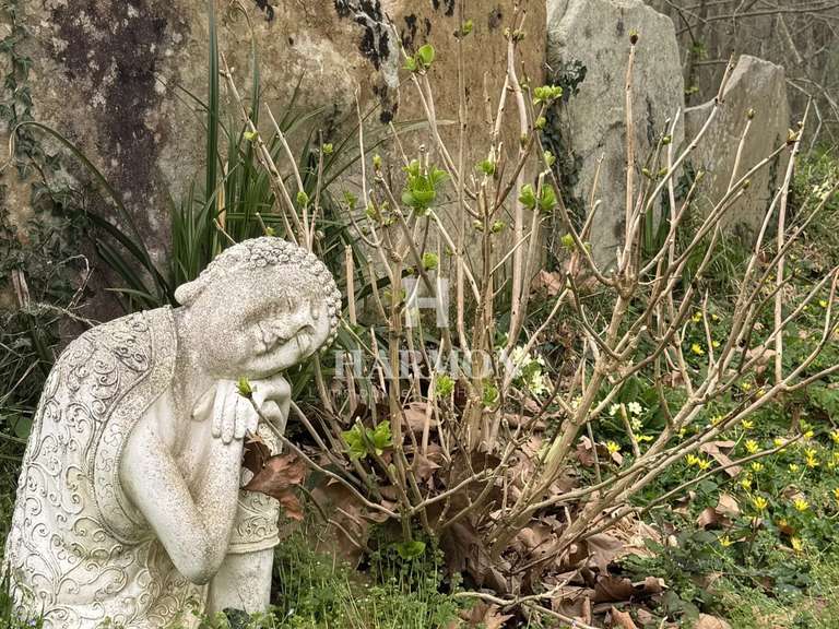 Maison Saint-Pée-sur-Nivelle