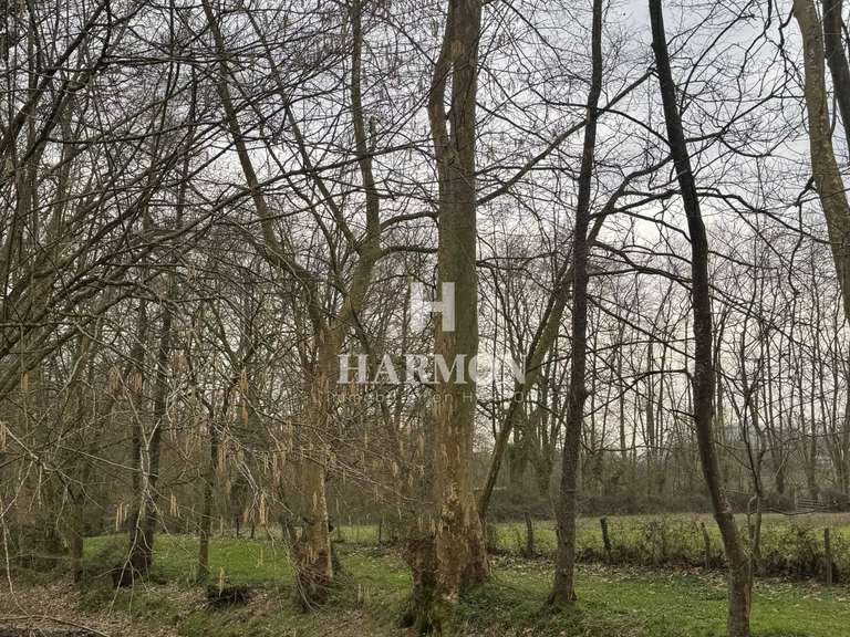 Maison Saint-Pée-sur-Nivelle