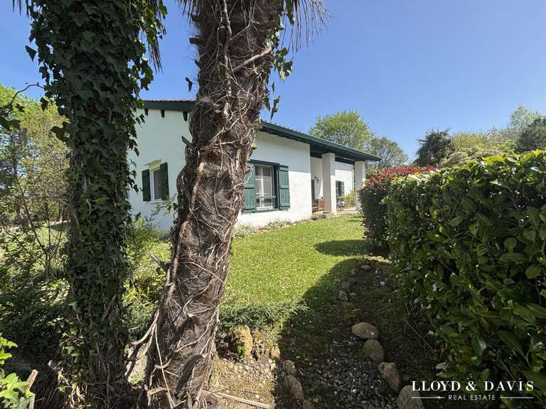 Maison Saint-Pée-sur-Nivelle - 5 chambres - 280m²