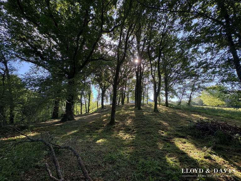 Maison Saint-Pée-sur-Nivelle - 5 chambres - 280m²