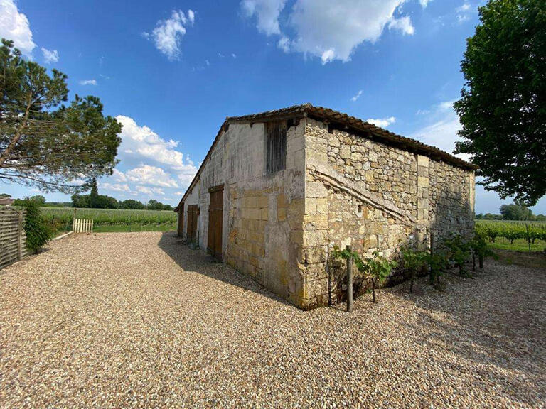 House Saint-Pey-d'Armens - 7 bedrooms