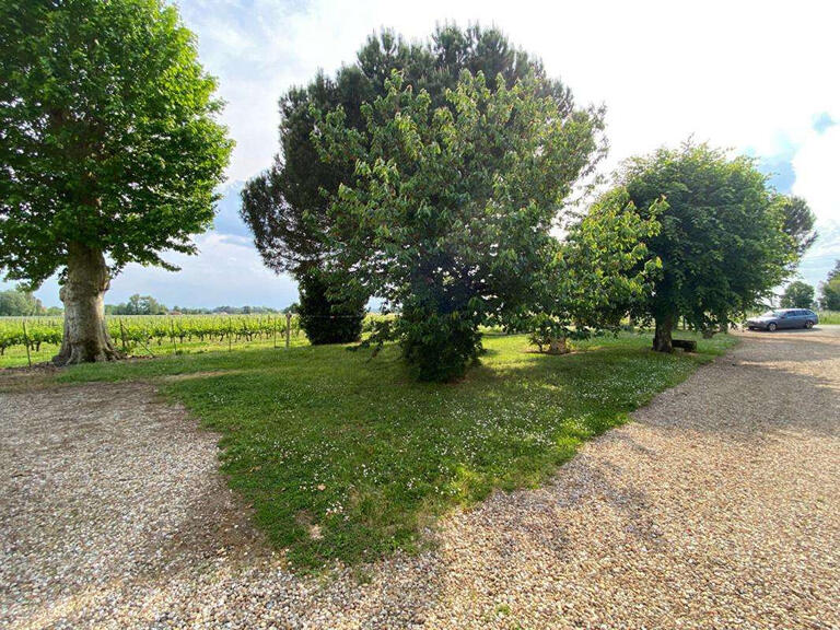 House Saint-Pey-d'Armens - 7 bedrooms