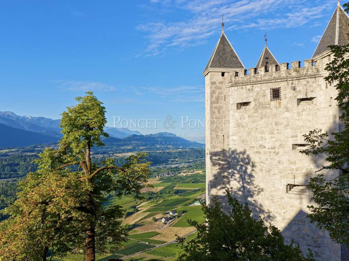 Château Saint-Pierre-d'Albigny