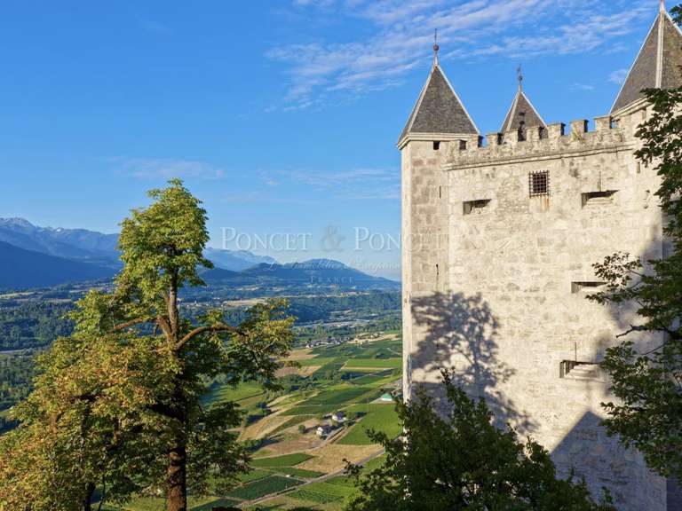 Château Saint-Pierre-d'Albigny - 600m²