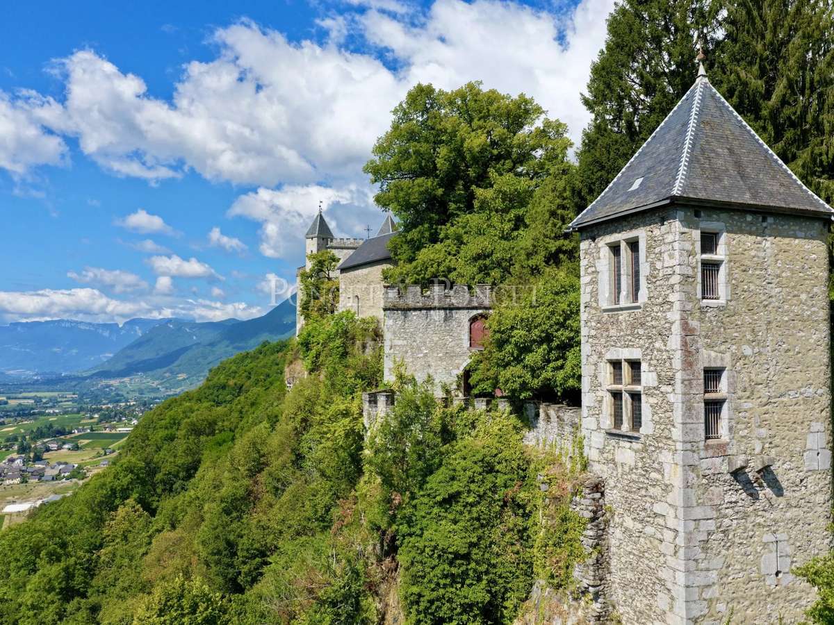 Château Saint-Pierre-d'Albigny