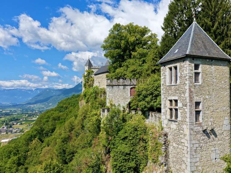 Château Saint-Pierre-d'Albigny - 600m²