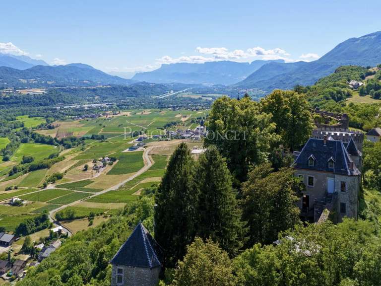 Château Saint-Pierre-d'Albigny - 600m²
