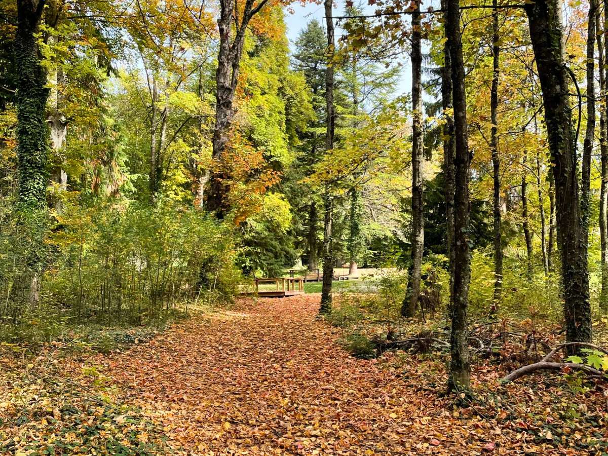 Maison Saint-Pierre-d'Argençon
