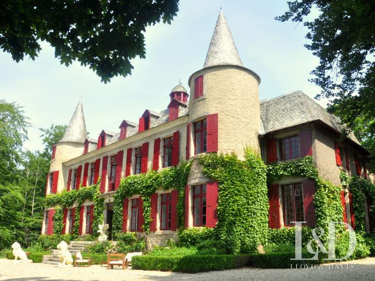 Château Saint-Pierre-de-Trivisy - 14 chambres - 660m²