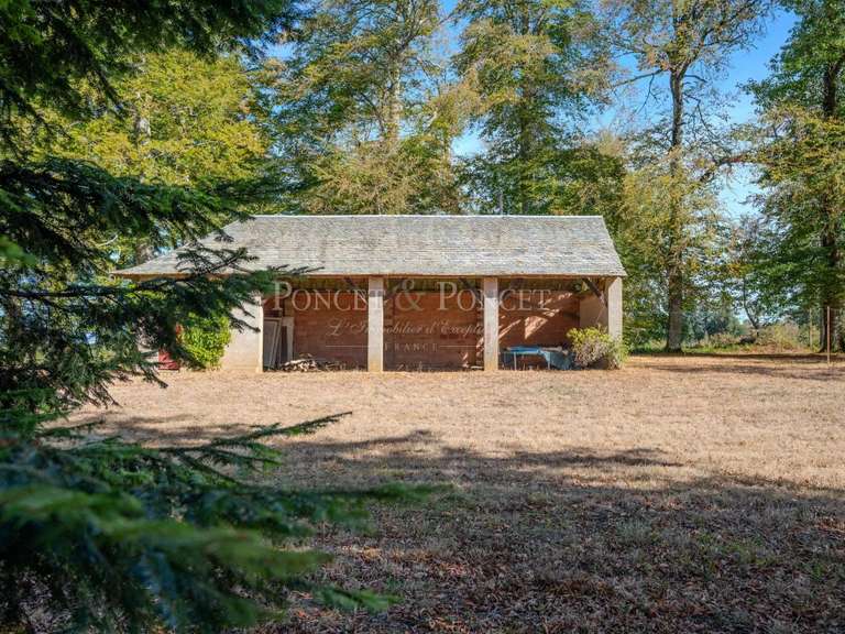 Castle Saint-Pierre-de-Trivisy - 10 bedrooms - 750m²