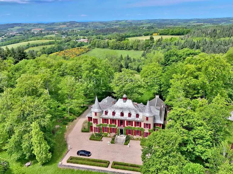 Castle Saint-Pierre-de-Trivisy - 10 bedrooms - 750m²