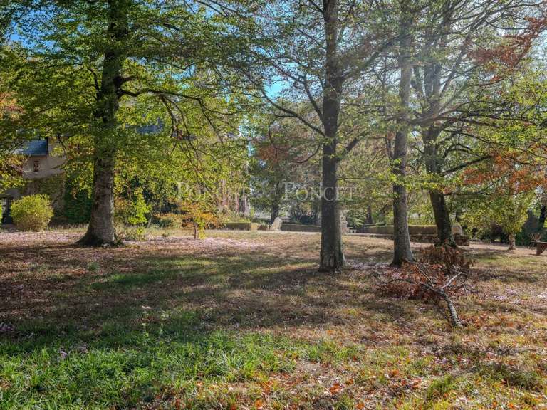 Castle Saint-Pierre-de-Trivisy - 10 bedrooms - 750m²