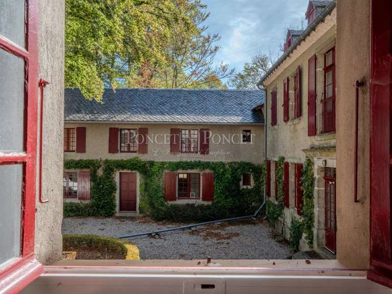 Castle Saint-Pierre-de-Trivisy - 10 bedrooms - 750m²