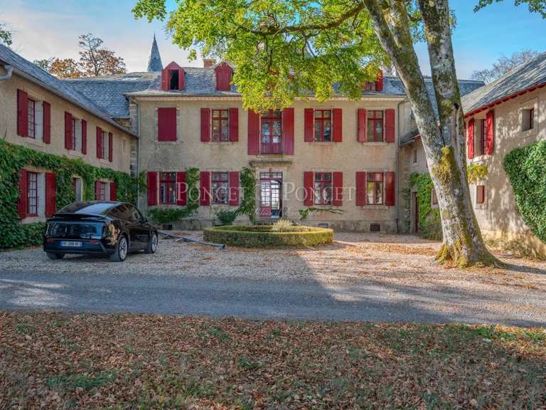 Castle Saint-Pierre-de-Trivisy - 10 bedrooms - 750m²