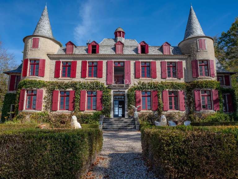 Castle Saint-Pierre-de-Trivisy - 10 bedrooms - 750m²