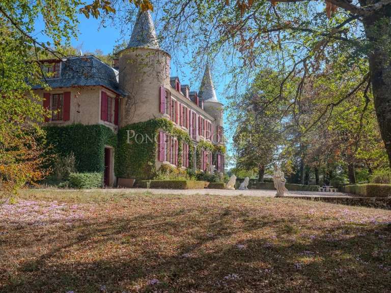 Castle Saint-Pierre-de-Trivisy - 10 bedrooms - 750m²