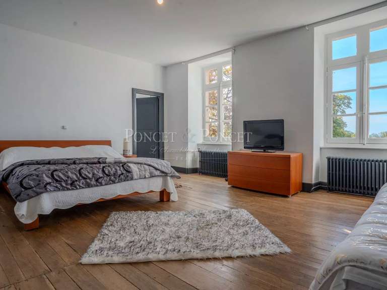 Castle Saint-Pierre-de-Trivisy - 10 bedrooms - 750m²