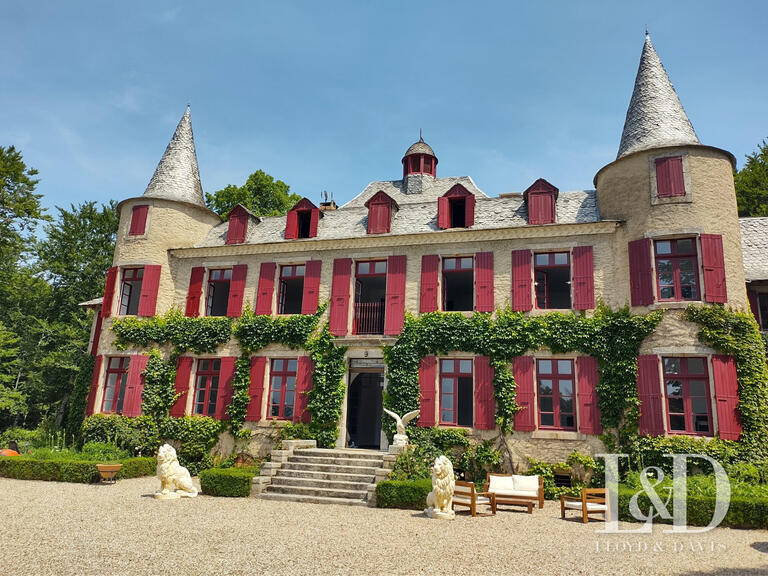 House Saint-Pierre-de-Trivisy - 14 bedrooms - 660m²