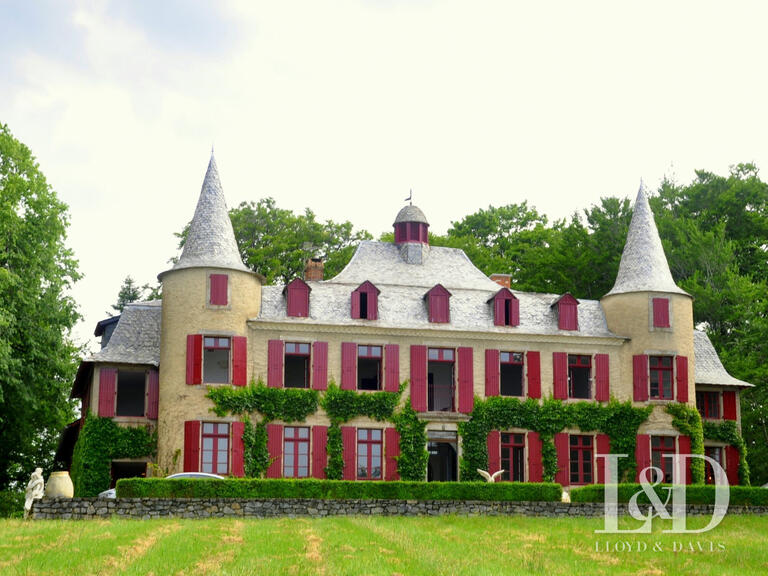House Saint-Pierre-de-Trivisy - 14 bedrooms - 660m²