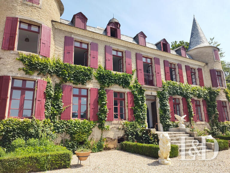 House Saint-Pierre-de-Trivisy - 14 bedrooms - 660m²