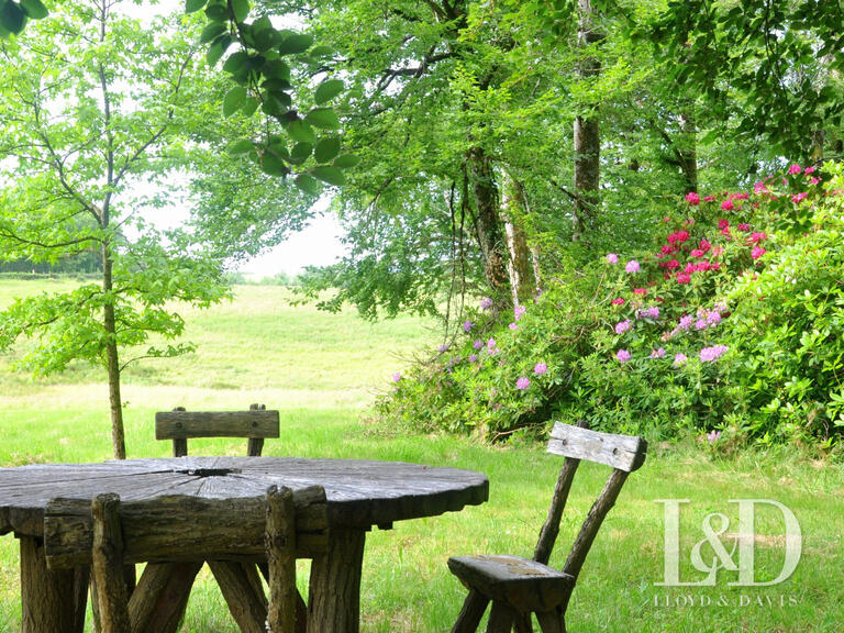 House Saint-Pierre-de-Trivisy - 14 bedrooms - 660m²