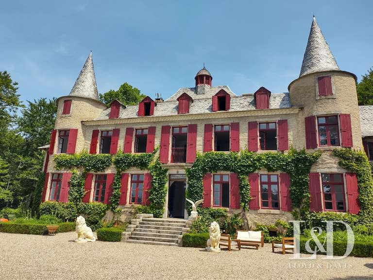 House Saint-Pierre-de-Trivisy - 14 bedrooms - 660m²
