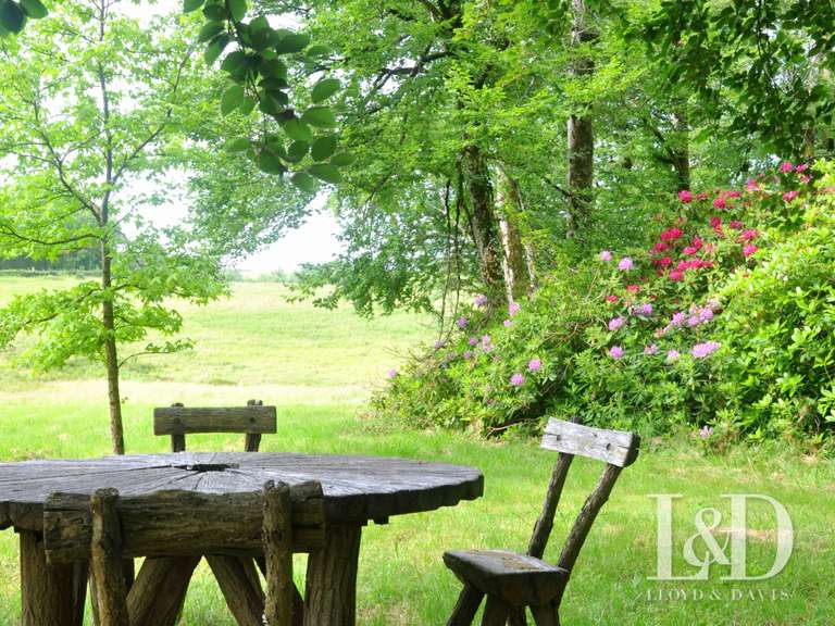 House Saint-Pierre-de-Trivisy - 14 bedrooms - 660m²