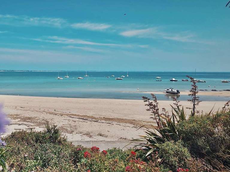 House Saint-Pierre-Quiberon - 4 bedrooms