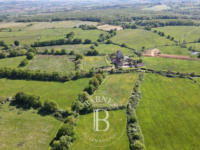 Propriété Saint-Pourçain-sur-Sioule - 5 chambres - 300m²