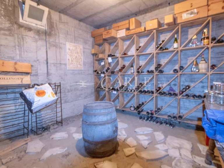 Villa Saint-Priest - 4 chambres - 425m²