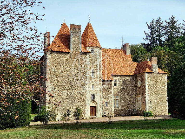 Sale Castle Saint-Quintin-sur-Sioule - 7 bedrooms
