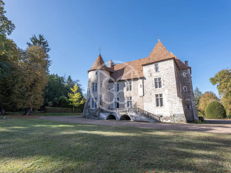 Sale Castle Saint-Quintin-sur-Sioule - 7 bedrooms