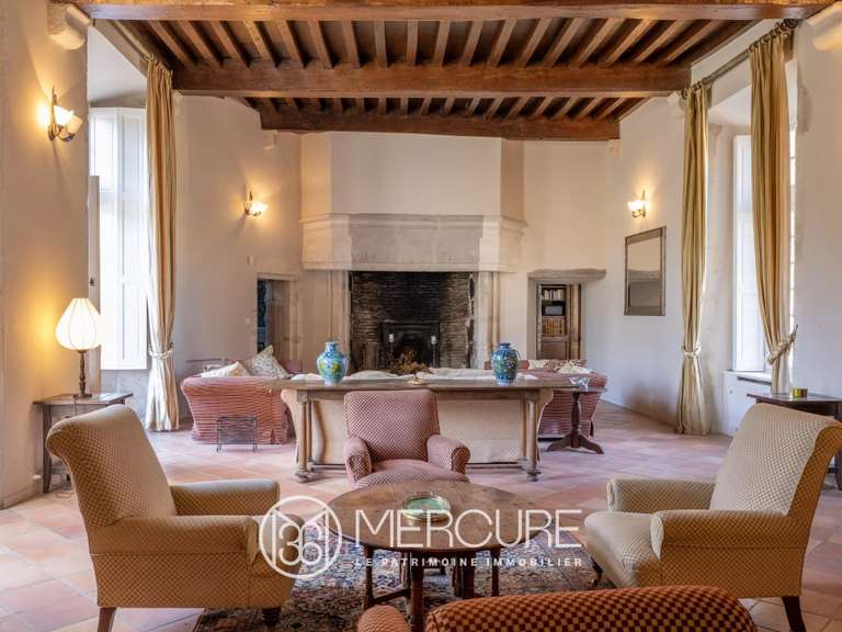 Château Saint-Quintin-sur-Sioule - 7 chambres - 800m²