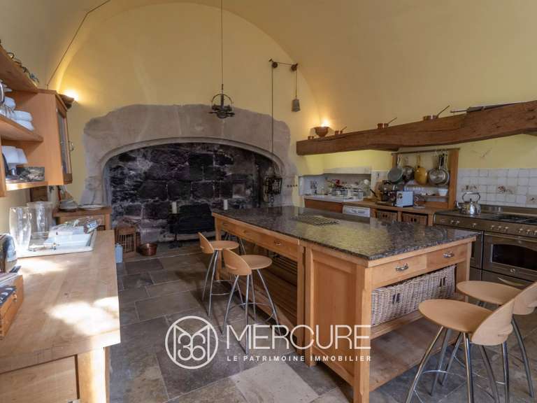 Château Saint-Quintin-sur-Sioule - 7 chambres - 800m²