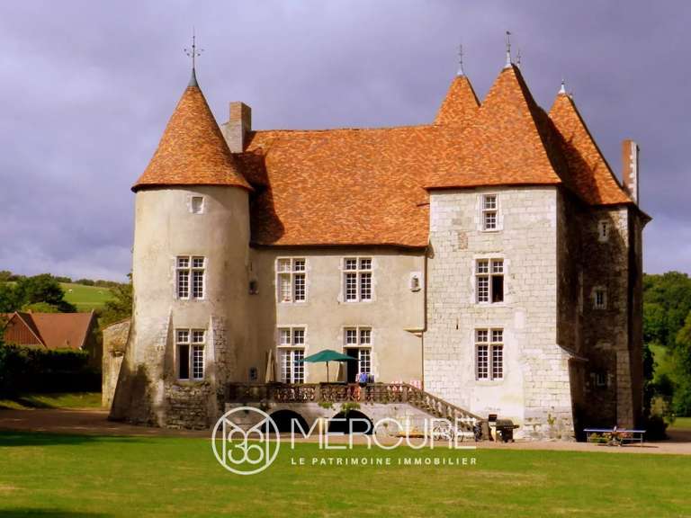 Château Saint-Quintin-sur-Sioule - 7 chambres - 800m²