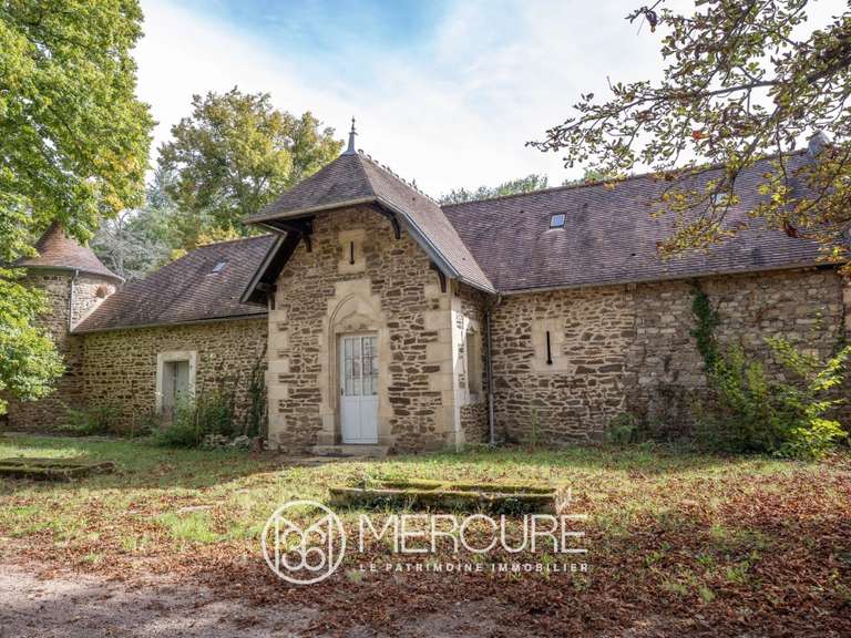 Château Saint-Quintin-sur-Sioule - 7 chambres - 800m²