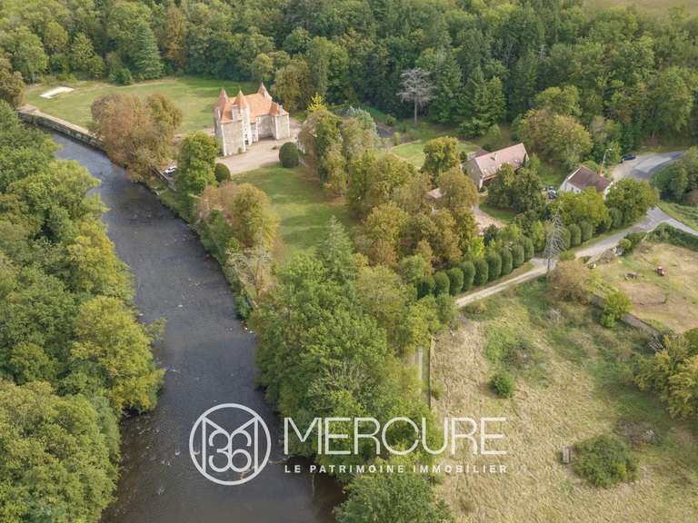 Château Saint-Quintin-sur-Sioule - 7 chambres - 800m²