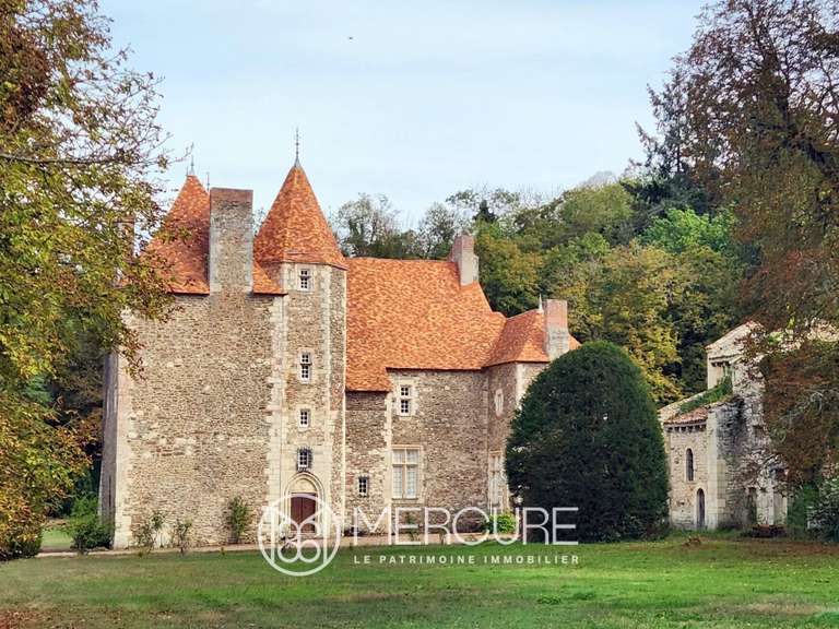 Château Saint-Quintin-sur-Sioule - 7 chambres - 800m²