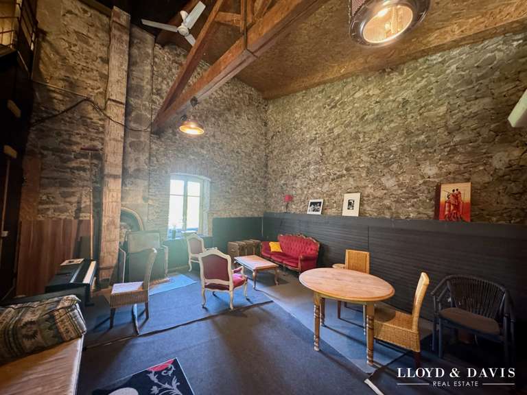 Maison Saint-Rambert-d'Albon - 9 chambres - 390m²