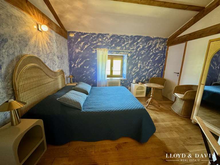 Maison Saint-Rambert-d'Albon - 9 chambres - 390m²