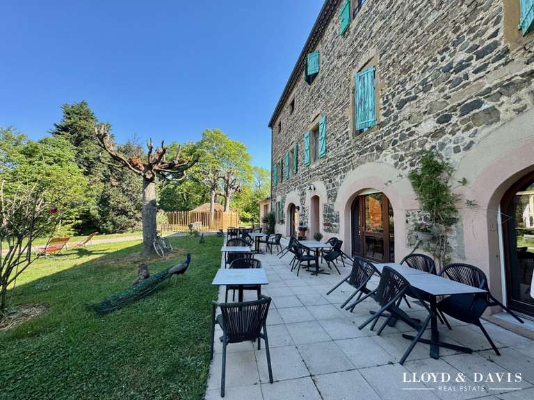 Maison Saint-Rambert-d'Albon - 9 chambres - 390m²