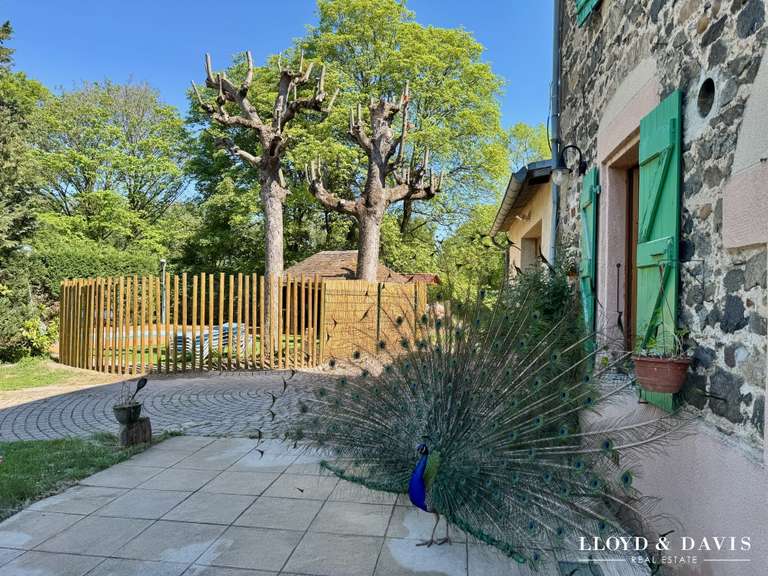 Maison Saint-Rambert-d'Albon - 9 chambres - 390m²