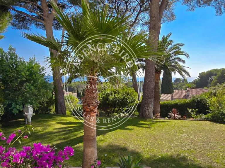 Appartement Saint-Raphaël - 4 chambres - 263m²