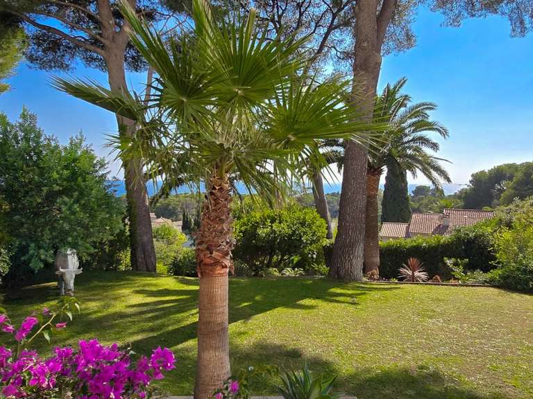 Apartment with Sea view Saint-Raphaël - 4 bedrooms - 263m²