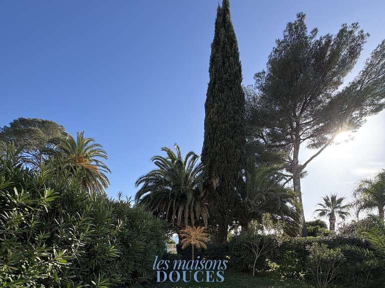 Appartement Saint-Raphaël - 2 chambres - 50m²