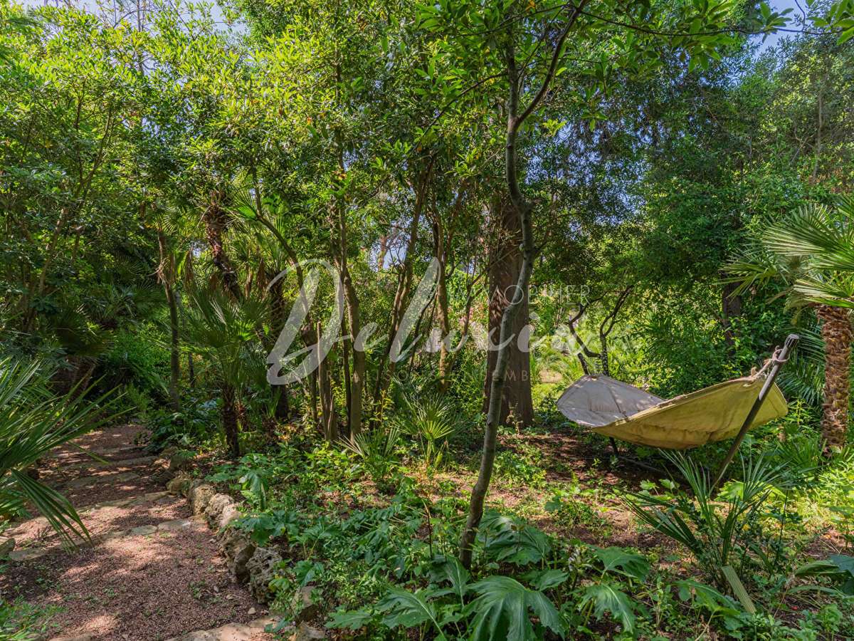 Villa Saint-Raphaël