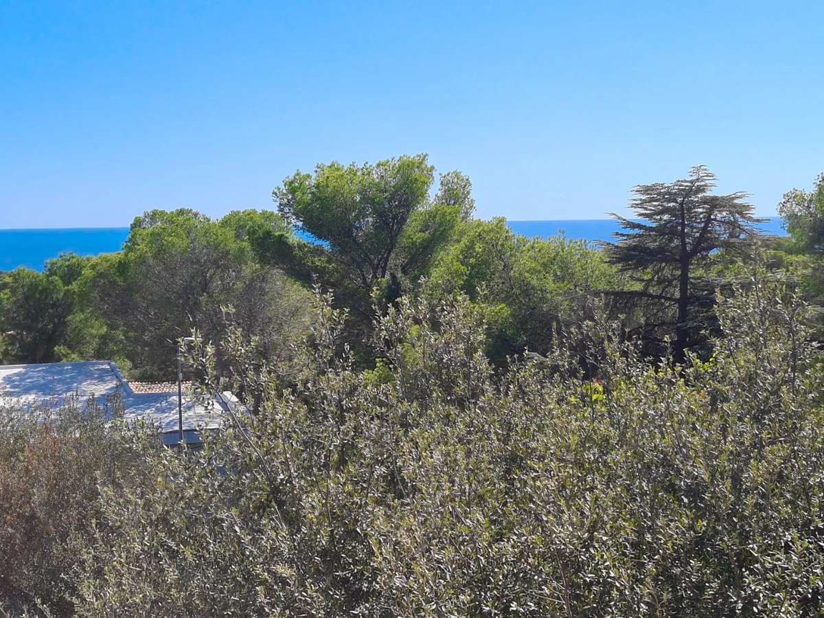 Villa Saint-Raphaël